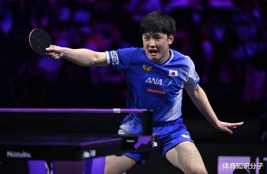 日本乒乓球队翻盘波兰乒乓球队，张本智和关键制胜的简单介绍