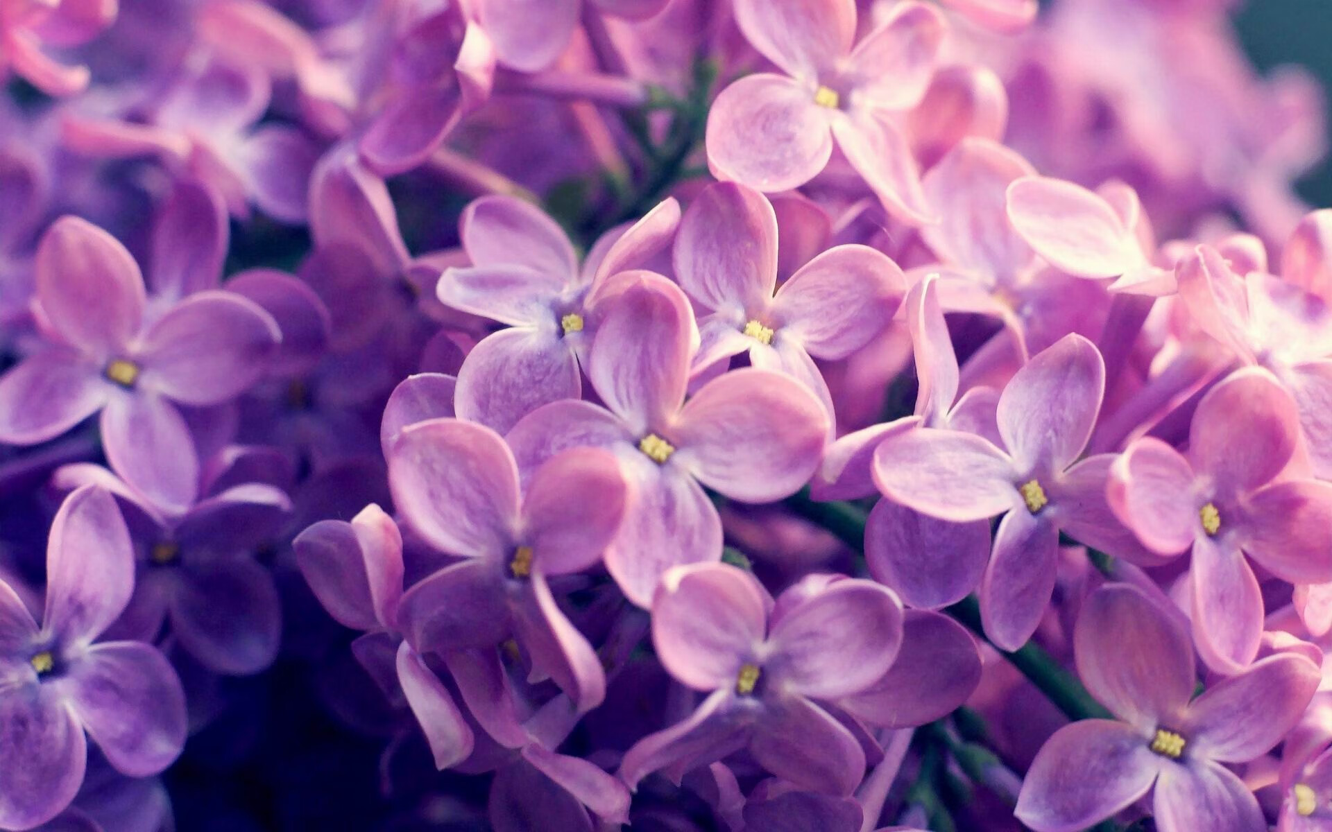 当焦点被颠覆，体育如何诠释何为真正重要之事